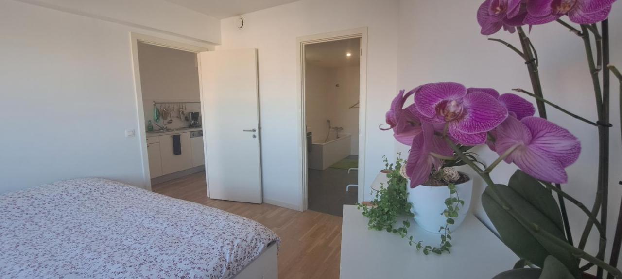 Brusilia Parc Apartment Брюксел Екстериор снимка
